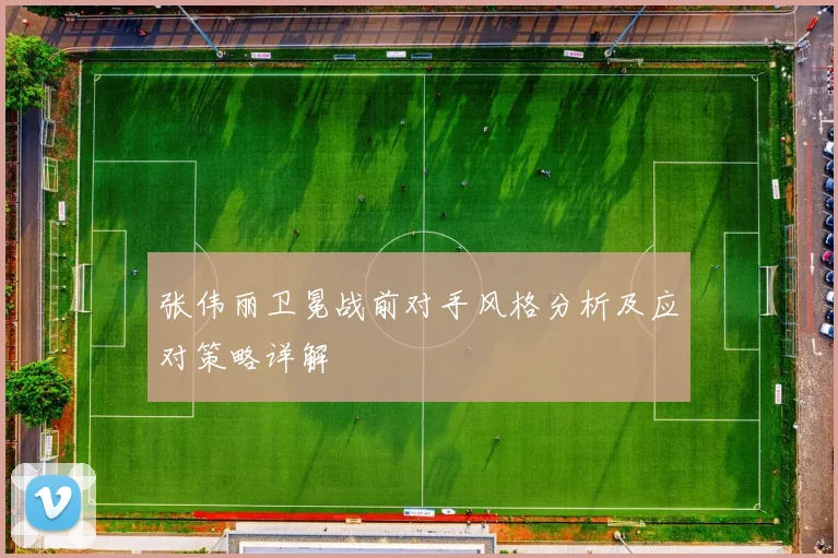 张伟丽卫冕战前对手风格分析及应对策略详解